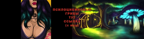 дмт Алексин
