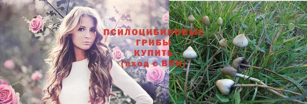 дмт Алексин