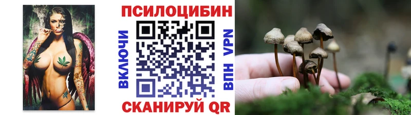 Галлюциногенные грибы мицелий  гидра ONION  Махачкала  магазин продажи наркотиков 